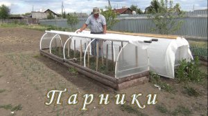 ПАРНИКИ
