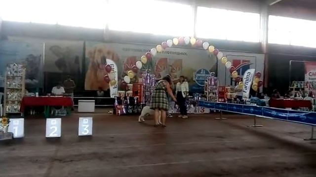 Фиелисс Амбри-Пиотта на ПК Краснодар-2018 смотреть онлайн