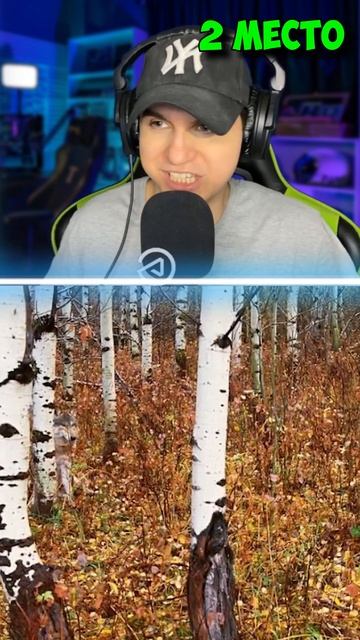 Животные, которых сложно заметить в реальной жизни / маскировка животных / давайте узнаем смотреть онлайн