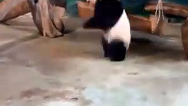 Хочу спать и все смотреть онлайн