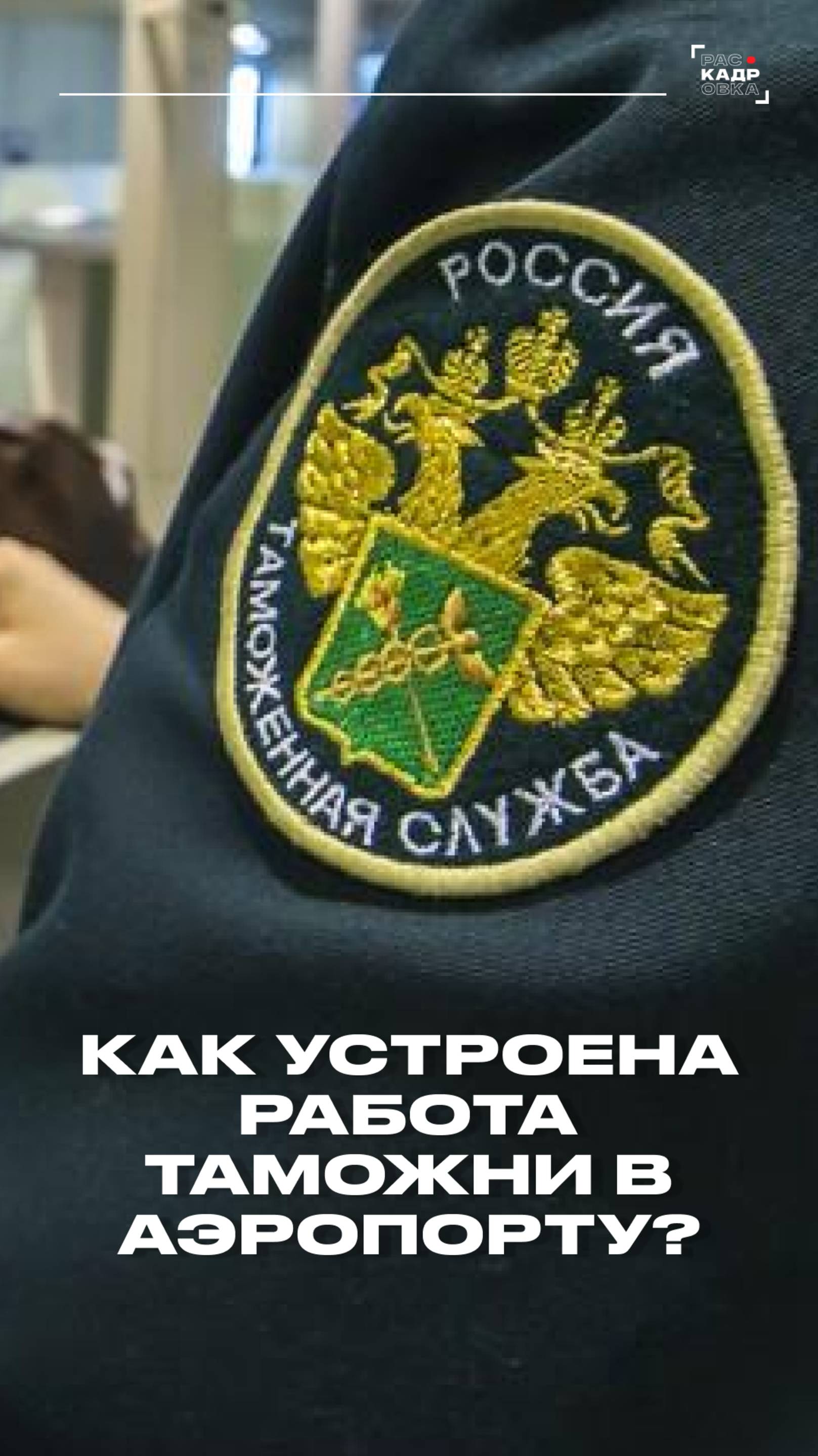 Как устроена работа таможни? Полный выпуск смотрите на канале "Раскадровка" смотреть онлайн