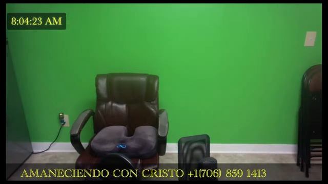 Live Stream смотреть онлайн