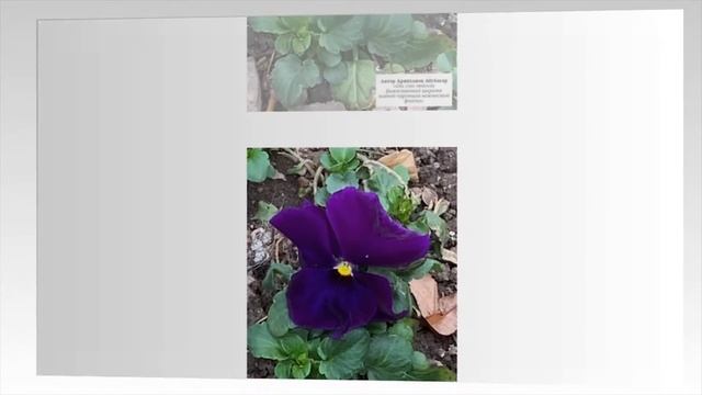 Медиа-выставка работ участников фотоконкурса, посвящ? смотреть онлайн