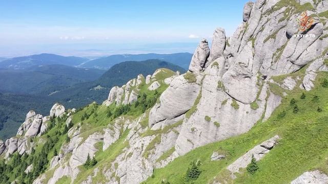 Подземный охотник | Чудеса сотворения. Мир растений