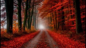 2025. Сергей Есенин — О красном вечере задумалась дорога: