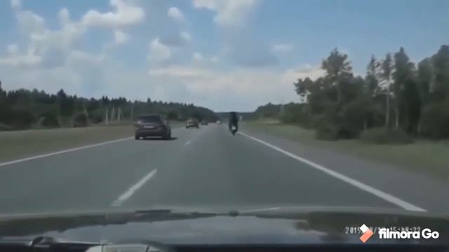 Лучшие приколы 2020 январь #1 смотреть онлайн