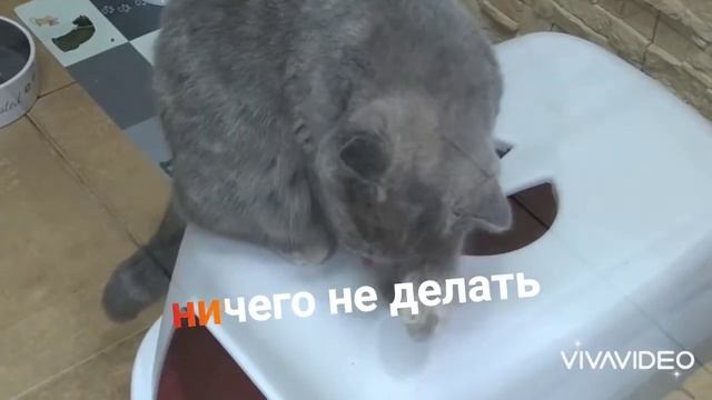 выходные и будни шутка смотреть онлайн