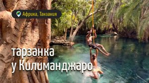 Тарзанка у Килиманджаро