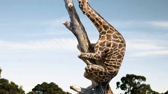 Самые лучшие песни и видео онлайн смотреть онлайн