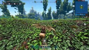 Изи топ 1 в ARK Survival of the Fittest