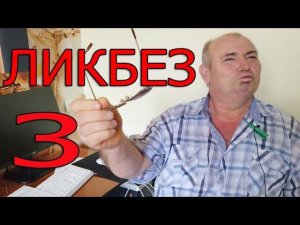 Ликбез 3 | Режим кормления цыплят