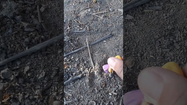 необитаемый остров 1 серия смотреть онлайн