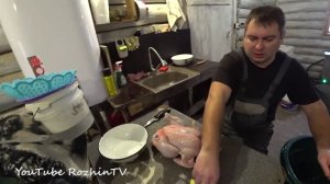 Забой и потрошение бройлера. Самый быстрый способ