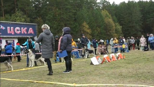 класс юниоров 5 смотреть онлайн