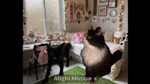 Клип на песню ^^я, песок и нефертити^^