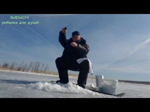 весенний  Чебак и Елец