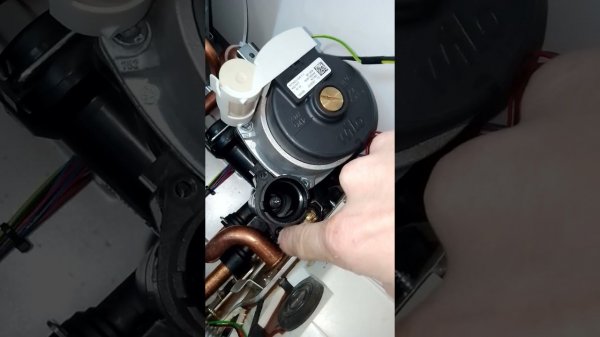 Протем рысь Конденсационный! Protherm lynx condens 30