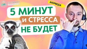 Избавься от стресса и тревоги за 5 минут! Дыхательная практика используемая спецслужбами из Аюрведы