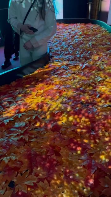 как вы относитесь к медиаискусству? #выставка #галерея #кудасходитьвпитере #спб #медиаискусство смотреть онлайн