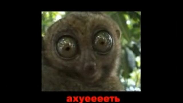 сижу жду зарплату.flv смотреть онлайн