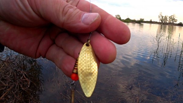 Рыбалка на спиннинг с берега! Рабочие блёсны на щуку! Спиннинг 2025!