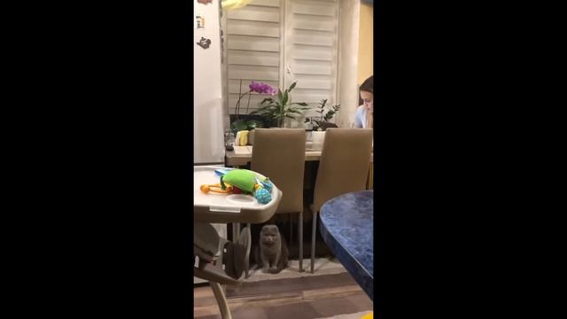 Как разыграть друзей !Мама в шоке !! Приколы , розыгрыши ! 🐍 snakes, banana смотреть онлайн