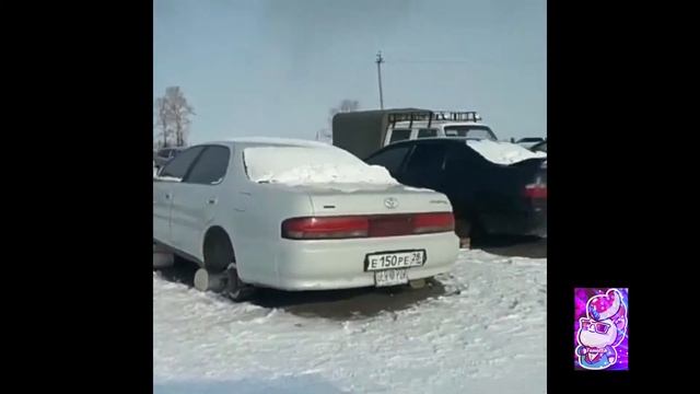 ПОДБОРКА НОВЫХ ПРИКОЛОВ ИЗ ВК И ИНСТАГРАМА №1 смотреть онлайн
