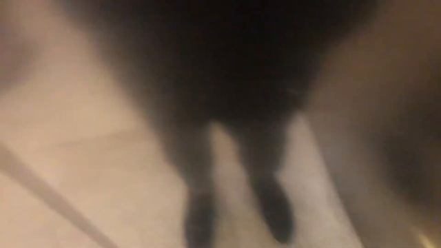 Лифт в ТРЦ «Метрополис» // 1 июня 2022 года смотреть онлайн