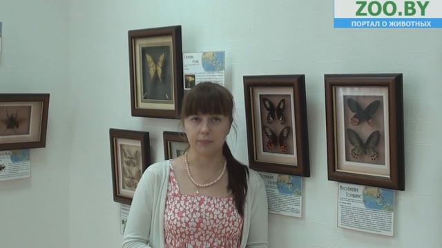 О выставке... Куратор: Ирина Синкевич смотреть онлайн