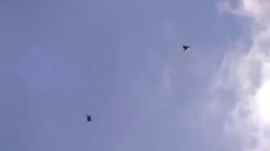 БК торцовые голуби Семченкова А. 2012 .mp4