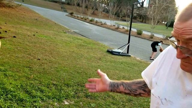 Прикол. Желтая собака к году желтой собаки...пришла к нам. смотреть онлайн