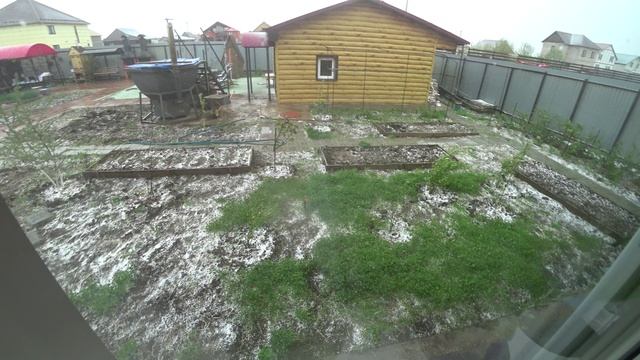 Хана урожаю