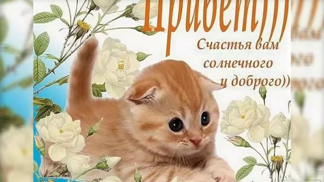 ПРИВЕТ ДРУЗЬЯ! УЛЫБОК И ХОРОШЕГО ДНЯ!!! 🥰😍🥰 смотреть онлайн