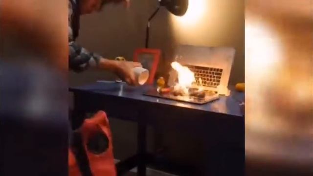 Крутые приколы смотреть онлайн