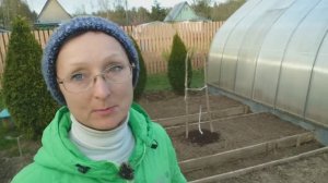 Видео привет с 6 соток 27 апреля 2025 года.