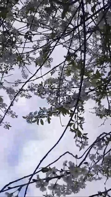 Позитивчик🌱🌿 смотреть онлайн