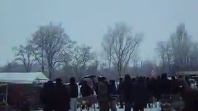 Выставка - ярмарка голубей и декоративных птиц г. Новомосковск часть 2 (24.11.18 ) смотреть онлайн