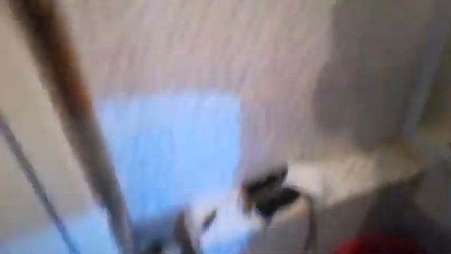 2019-09-17. Вызвали сантехника, обозвавший меня тупым инженер ПКСК привёл чиновников. смотреть онлайн