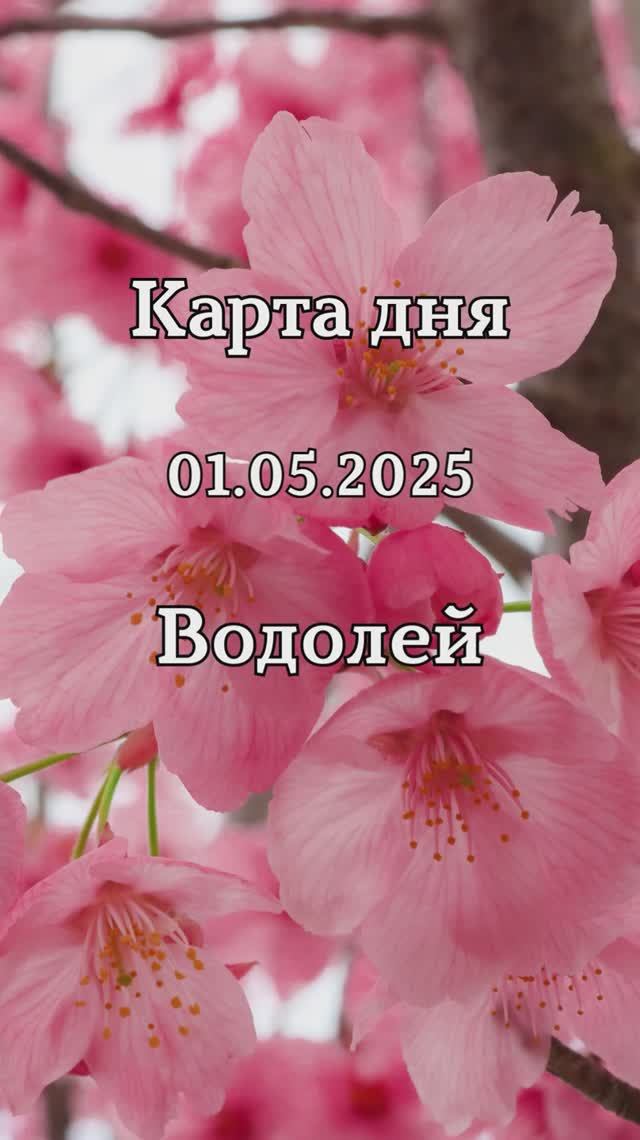 ✨Карта дня 01.05.2025 Водолей смотреть онлайн