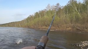 Рыбалка на спиннинг с берега весной.