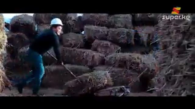Алло прикол смотреть онлайн