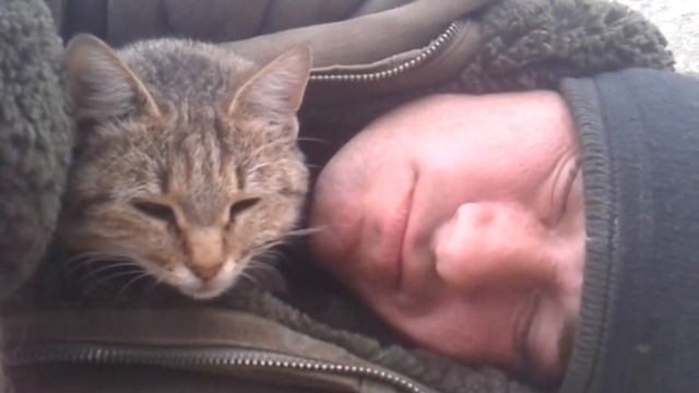 ПРИКОЛ!!! ЧЕЛ РЕАЛЬНО УСТАЛ. смотреть онлайн