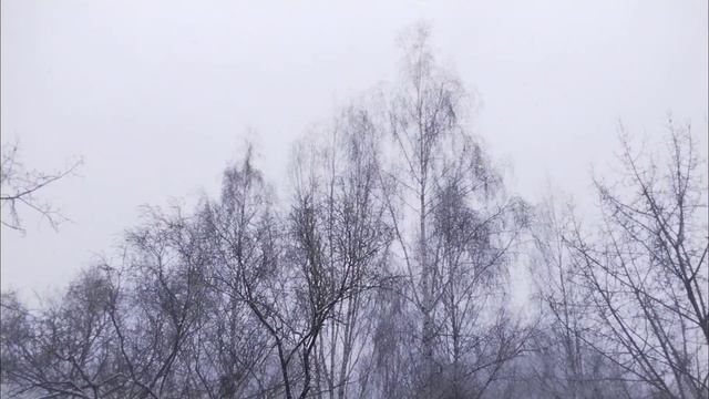 весна😄😉28 апреля 2025 года✨