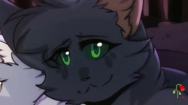 Коты Воители❤️. Клип под песню гореть🔥.