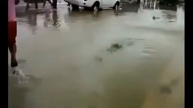 Новая подборка приколов ! Смотреть всем ! приколы видео! выпуск 17 смотреть онлайн