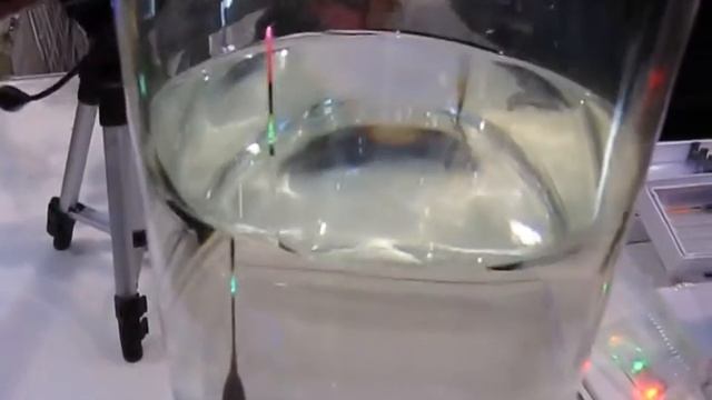 Картинки с выставки 4 смотреть онлайн