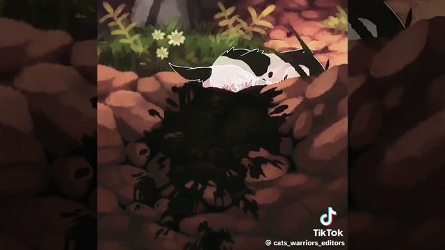 Быстролап💔 смотреть онлайн