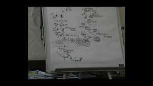 Солидарность. Общество.. Отношения человек - человек и человек - природа. Сплочение. 2017