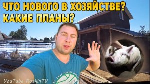 Деревенские будни | ЧТО НОВОГО В ХОЗЯЙСТВЕ? КАКИЕ ПЛАНЫ? | Жизнь в деревне
