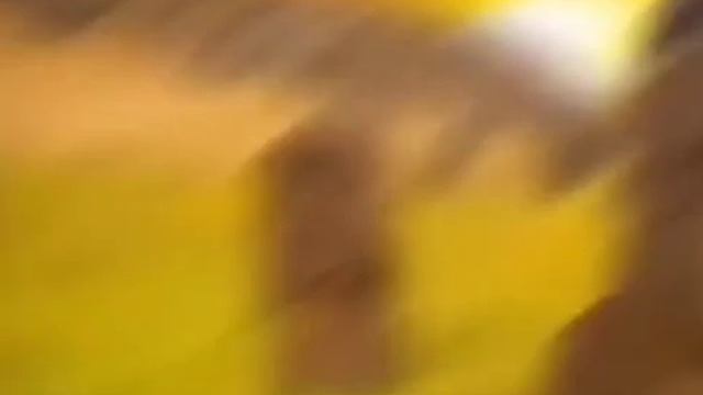 ну типа лол ви поняли ну типа не смешно смотреть онлайн